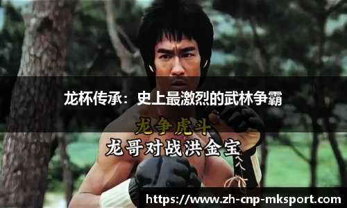 龙杯传承：史上最激烈的武林争霸
